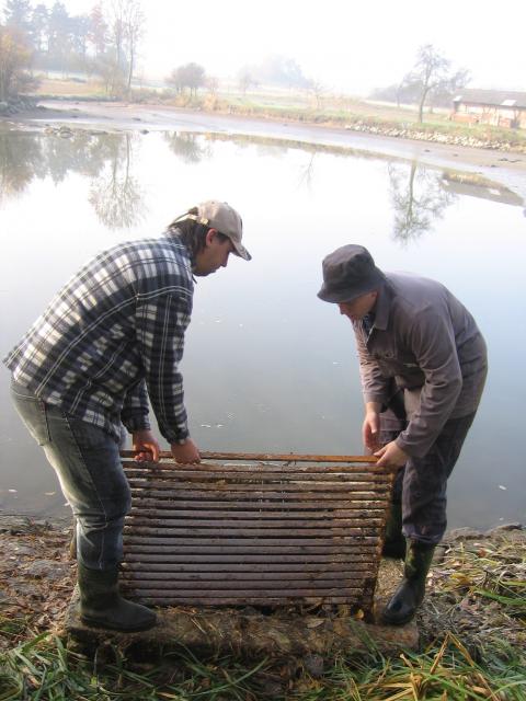 10-vylov-rybnika-29.10.2010 188